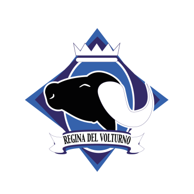 Logo sitoco testo bianco